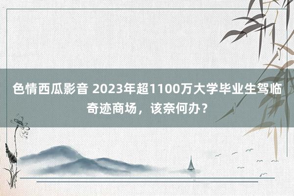 色情西瓜影音 2023年超1100万大学毕业生驾临奇迹商场，该奈何办？