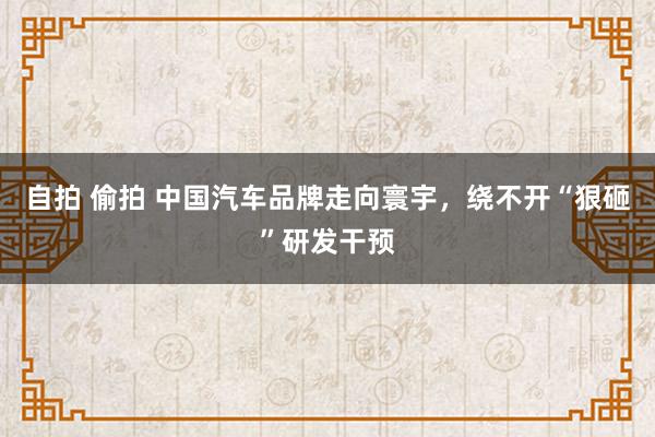 自拍 偷拍 中国汽车品牌走向寰宇，绕不开“狠砸”研发干预