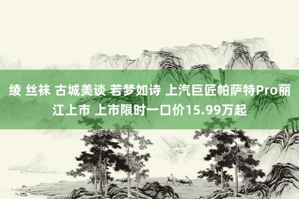 绫 丝袜 古城美谈 若梦如诗 上汽巨匠帕萨特Pro丽江上市 上市限时一口价15.99万起