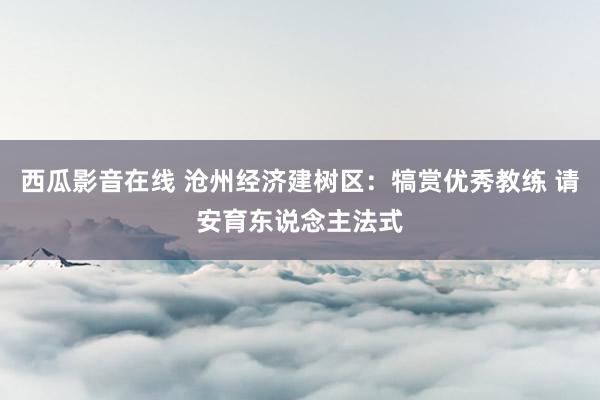 西瓜影音在线 沧州经济建树区：犒赏优秀教练 请安育东说念主法式