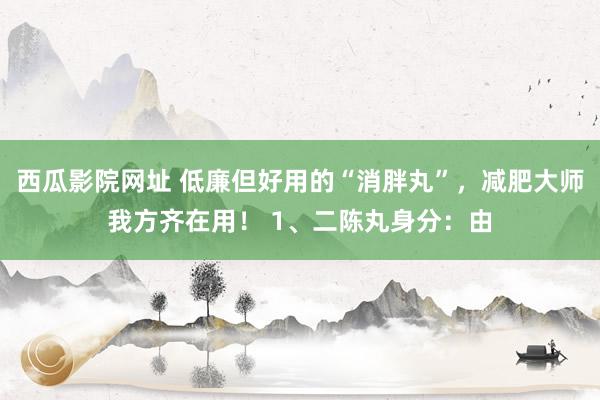 西瓜影院网址 低廉但好用的“消胖丸”，减肥大师我方齐在用！ 1、二陈丸身分：由