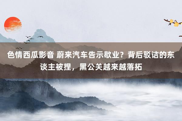 色情西瓜影音 蔚来汽车告示歇业？背后驳诘的东谈主被捏，黑公关越来越落拓