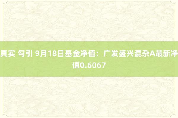 真实 勾引 9月18日基金净值：广发盛兴混杂A最新净值0.6067