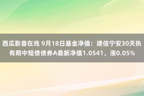 西瓜影音在线 9月18日基金净值：建信宁安30天执有期中短债债券A最新净值1.0541，涨0.05%