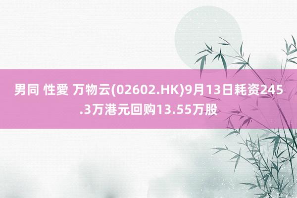 男同 性愛 万物云(02602.HK)9月13日耗资245.3万港元回购13.55万股