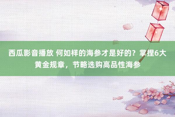 西瓜影音播放 何如样的海参才是好的？掌捏6大黄金规章，节略选购高品性海参