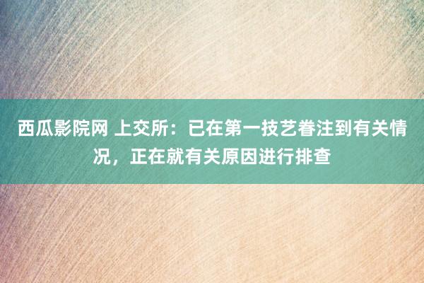 西瓜影院网 上交所：已在第一技艺眷注到有关情况，正在就有关原因进行排查