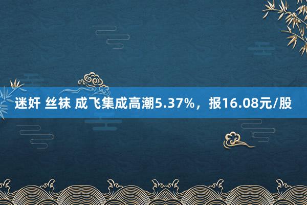 迷奸 丝袜 成飞集成高潮5.37%，报16.08元/股