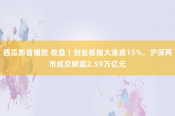 西瓜影音播放 收盘丨创业板指大涨逾15%，沪深两市成交额超2.59万亿元