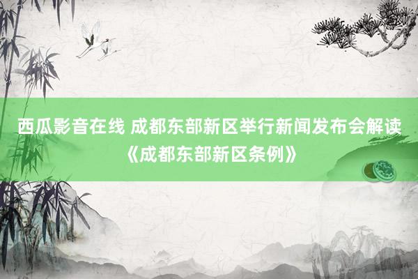 西瓜影音在线 成都东部新区举行新闻发布会解读《成都东部新区条例》