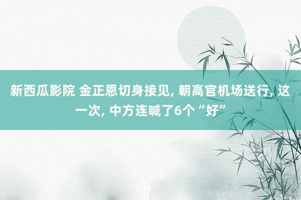 新西瓜影院 金正恩切身接见， 朝高官机场送行， 这一次， 中方连喊了6个“好”