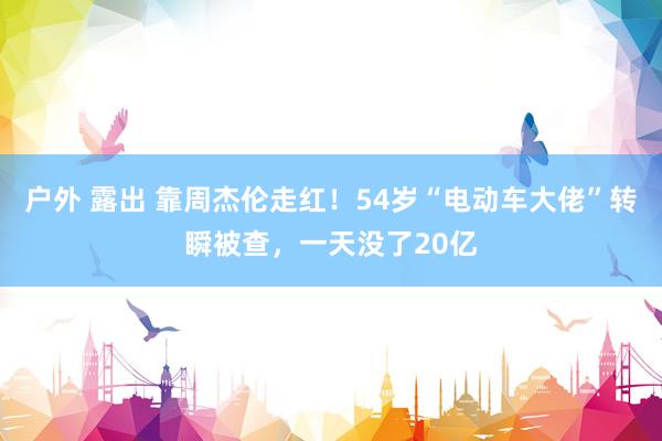 户外 露出 靠周杰伦走红！54岁“电动车大佬”转瞬被查，一天没了20亿