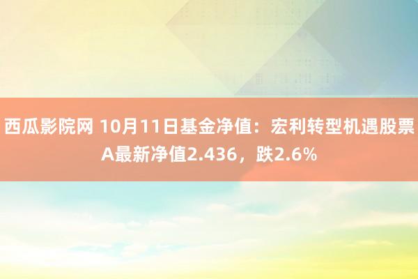 西瓜影院网 10月11日基金净值：宏利转型机遇股票A最新净值2.436，跌2.6%