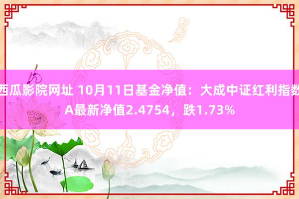 西瓜影院网址 10月11日基金净值：大成中证红利指数A最新净值2.4754，跌1.73%