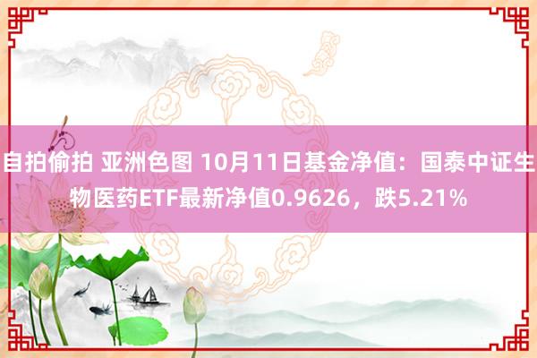 自拍偷拍 亚洲色图 10月11日基金净值：国泰中证生物医药ETF最新净值0.9626，跌5.21%