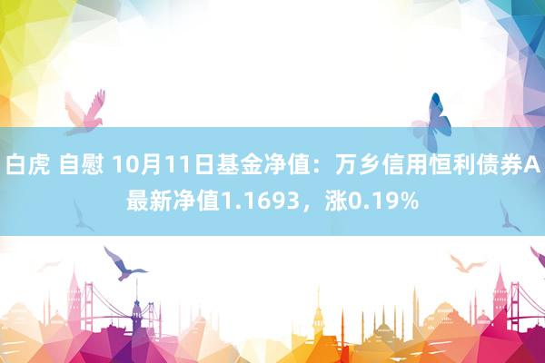 白虎 自慰 10月11日基金净值：万乡信用恒利债券A最新净值1.1693，涨0.19%