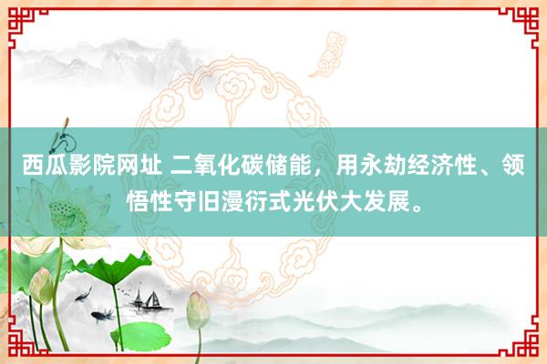 西瓜影院网址 二氧化碳储能，用永劫经济性、领悟性守旧漫衍式光伏大发展。