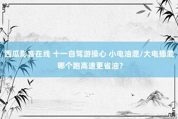 西瓜影音在线 十一自驾游操心 小电油混/大电插混 哪个跑高速更省油？