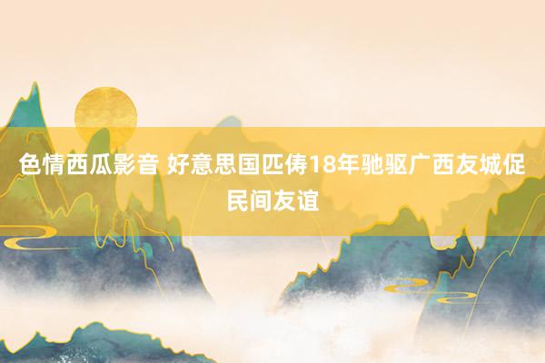 色情西瓜影音 好意思国匹俦18年驰驱广西友城促民间友谊