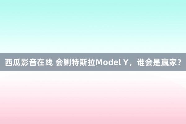 西瓜影音在线 会剿特斯拉Model Y，谁会是赢家？