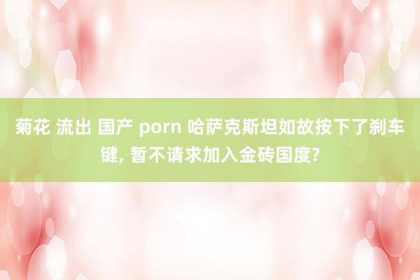 菊花 流出 国产 porn 哈萨克斯坦如故按下了刹车键， 暂不请求加入金砖国度?