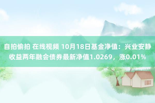 自拍偷拍 在线视频 10月18日基金净值：兴业安静收益两年融会债券最新净值1.0269，涨0.01%