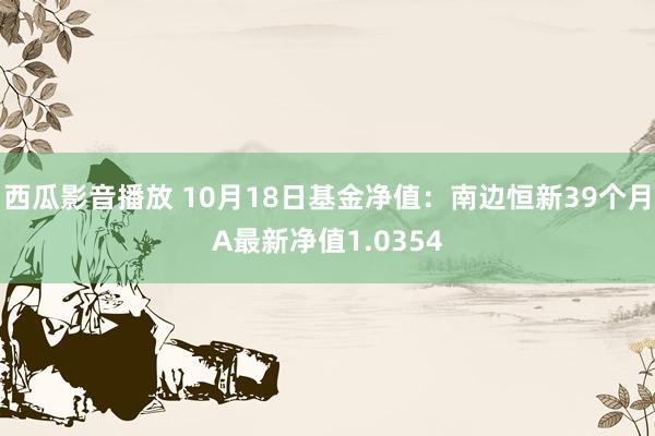 西瓜影音播放 10月18日基金净值：南边恒新39个月A最新净值1.0354