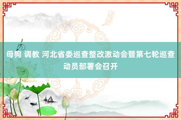 母狗 调教 河北省委巡查整改激动会暨第七轮巡查动员部署会召开