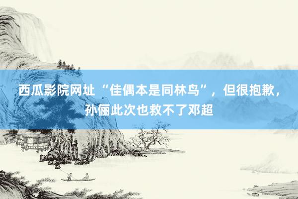 西瓜影院网址 “佳偶本是同林鸟”，但很抱歉，孙俪此次也救不了邓超