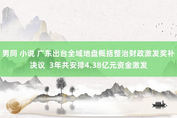 男同 小说 广东出台全域地盘概括整治财政激发奖补决议  3年共安排4.38亿元资金激发