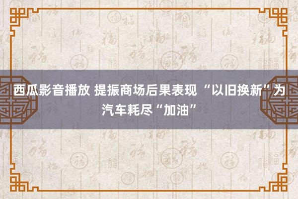 西瓜影音播放 提振商场后果表现 “以旧换新”为汽车耗尽“加油”