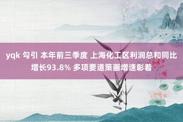 yqk 勾引 本年前三季度 上海化工区利润总和同比增长93.8% 多项要道策画增速彰着