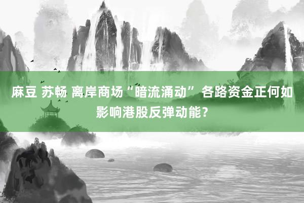 麻豆 苏畅 离岸商场“暗流涌动” 各路资金正何如影响港股反弹动能？