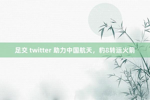 足交 twitter 助力中国航天，豹8转运火箭