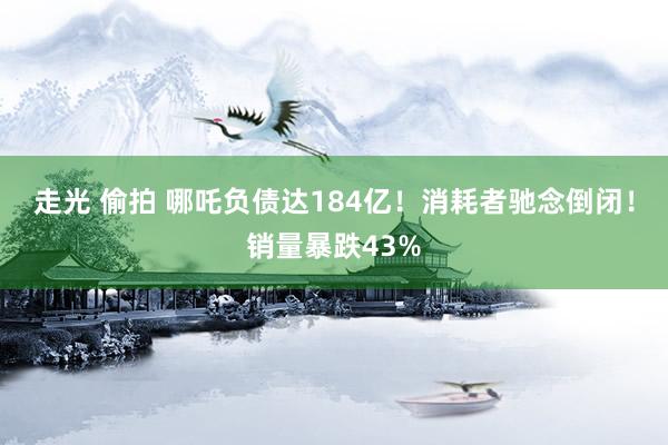 走光 偷拍 哪吒负债达184亿！消耗者驰念倒闭！销量暴跌43%