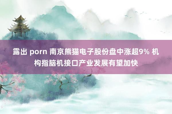 露出 porn 南京熊猫电子股份盘中涨超9% 机构指脑机接口产业发展有望加快