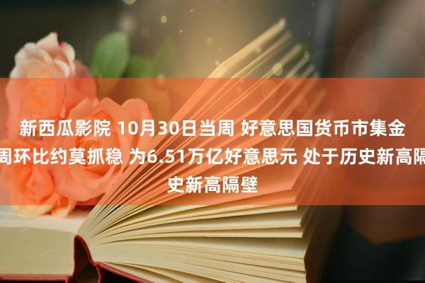 新西瓜影院 10月30日当周 好意思国货币市集金钱周环比约莫抓稳 为6.51万亿好意思元 处于历史新高隔壁