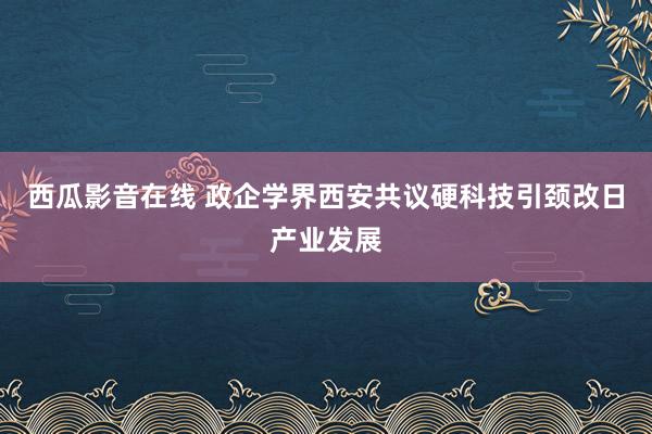 西瓜影音在线 政企学界西安共议硬科技引颈改日产业发展