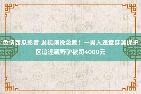 色情西瓜影音 发视频说念歉！一男人违章穿越保护区追逐藏野驴被罚4000元