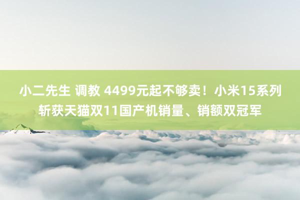 小二先生 调教 4499元起不够卖！小米15系列斩获天猫双11国产机销量、销额双冠军