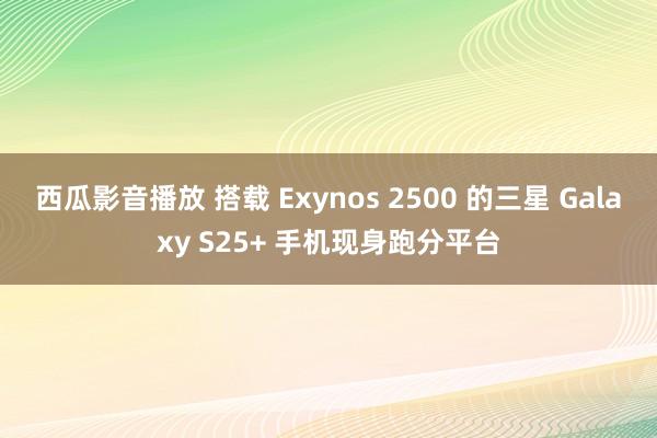 西瓜影音播放 搭载 Exynos 2500 的三星 Galaxy S25+ 手机现身跑分平台