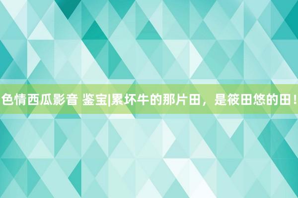 色情西瓜影音 鉴宝|累坏牛的那片田，是筱田悠的田！