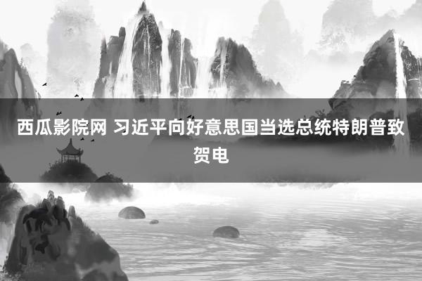 西瓜影院网 习近平向好意思国当选总统特朗普致贺电