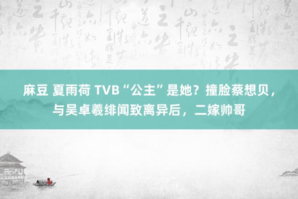 麻豆 夏雨荷 TVB“公主”是她？撞脸蔡想贝，与吴卓羲绯闻致离异后，二嫁帅哥