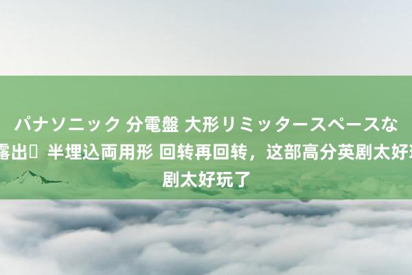 パナソニック 分電盤 大形リミッタースペースなし 露出・半埋込両用形 回转再回转，这部高分英剧太好玩了