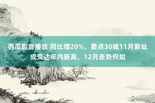 西瓜影音播放 同比增20%，要点30城11月新址成交达年内新高，12月走势何如