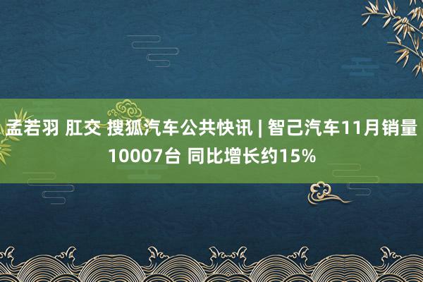 孟若羽 肛交 搜狐汽车公共快讯 | 智己汽车11月销量10007台 同比增长约15%