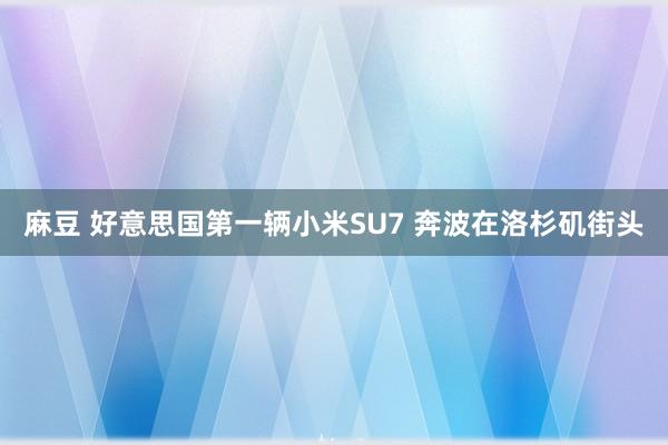 麻豆 好意思国第一辆小米SU7 奔波在洛杉矶街头