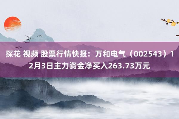 探花 视频 股票行情快报：万和电气（002543）12月3日主力资金净买入263.73万元