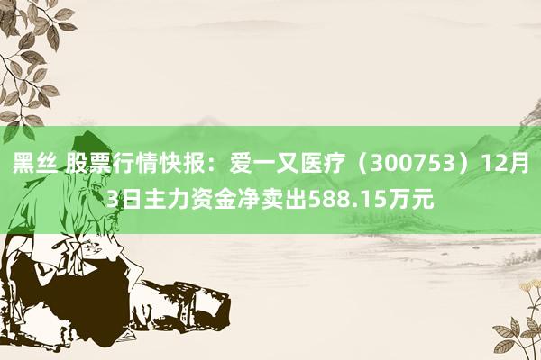 黑丝 股票行情快报：爱一又医疗（300753）12月3日主力资金净卖出588.15万元